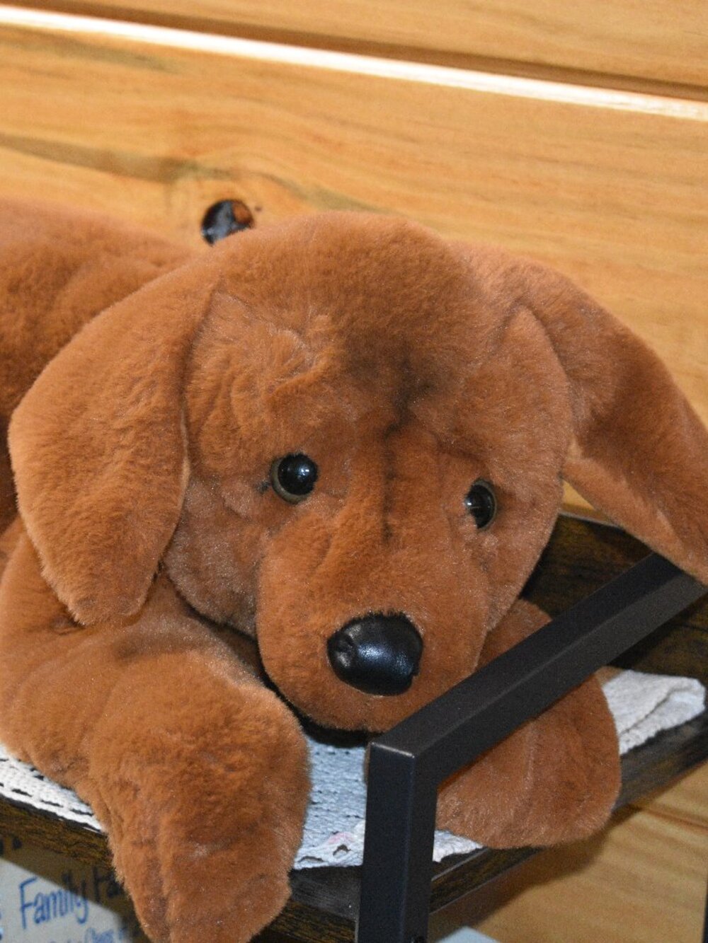 Kids stuffed dog